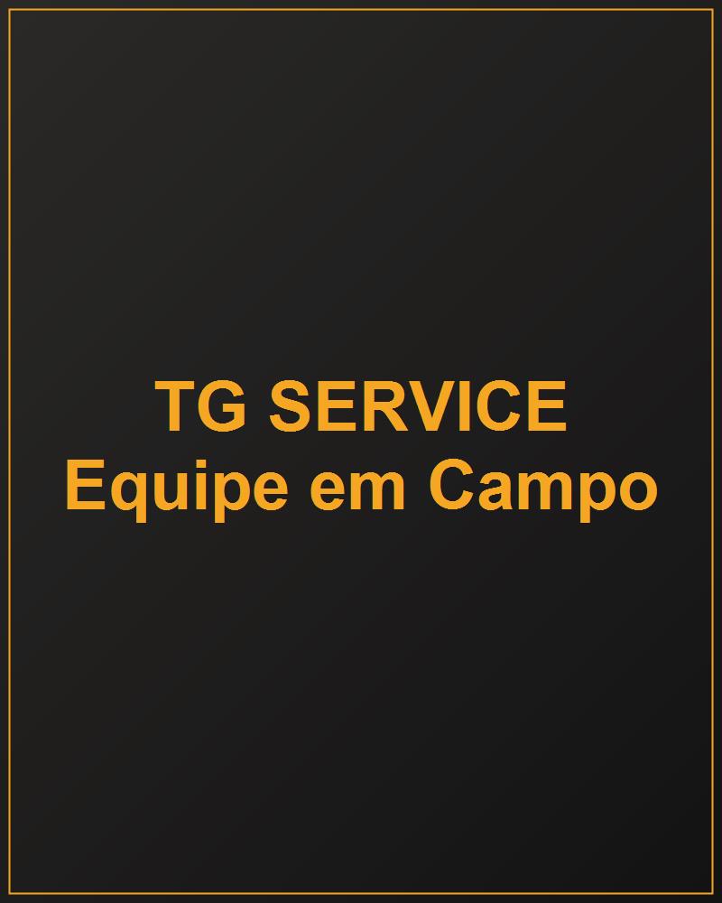TG Service - Equipe em campo